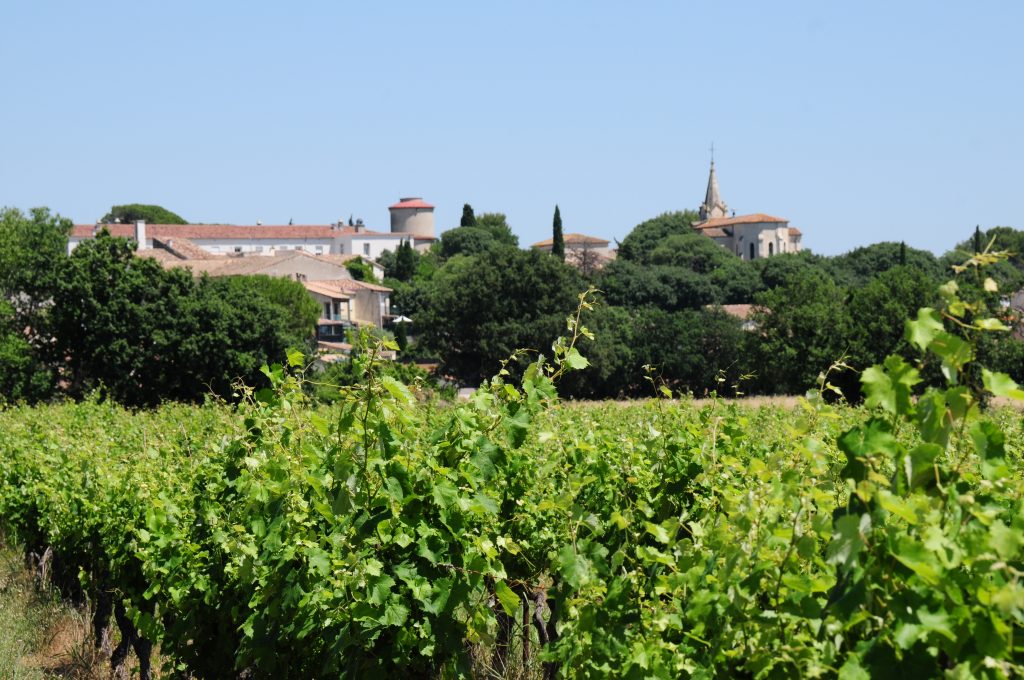 Entre-Vignes
